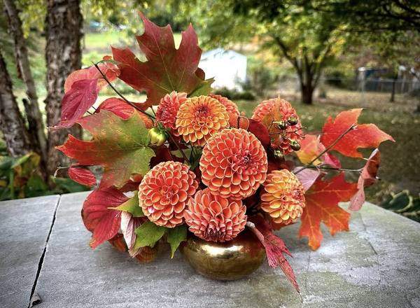Dahlia bouquet