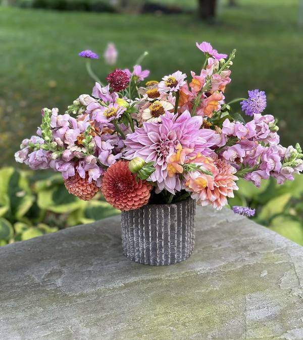 Garden snapdragon mix